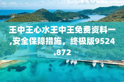 王中王心水王中王免费资料一,安全保障措施，终极版9524.872