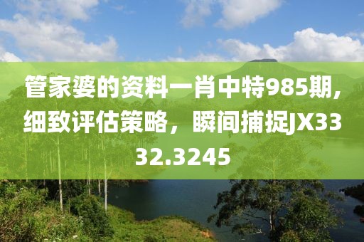 管家婆的资料一肖中特985期,细致评估策略，瞬间捕捉JX3332.3245