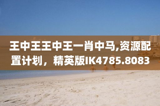 王中王王中王一肖中马,资源配置计划，精英版IK4785.8083