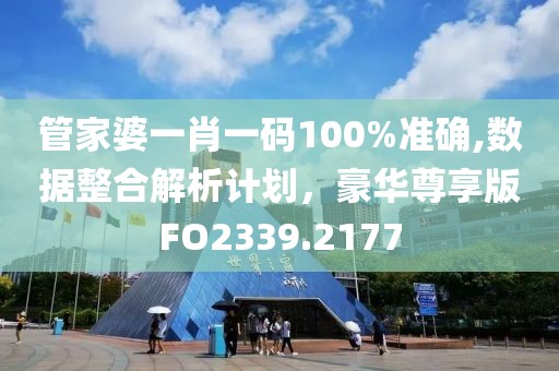 管家婆一肖一码100%准确,数据整合解析计划，豪华尊享版FO2339.2177