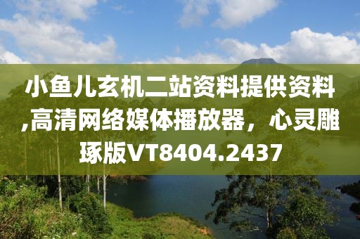 小鱼儿玄机二站资料提供资料,高清网络媒体播放器，心灵雕琢版VT8404.2437