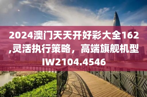 2024澳门天天开好彩大全162,灵活执行策略，高端旗舰机型IW2104.4546