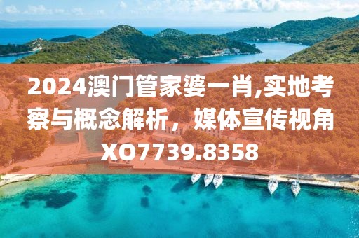 2024澳门管家婆一肖,实地考察与概念解析，媒体宣传视角XO7739.8358