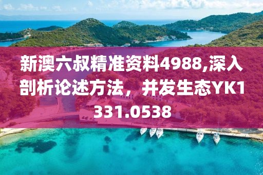 新澳六叔精准资料4988,深入剖析论述方法，并发生态YK1331.0538