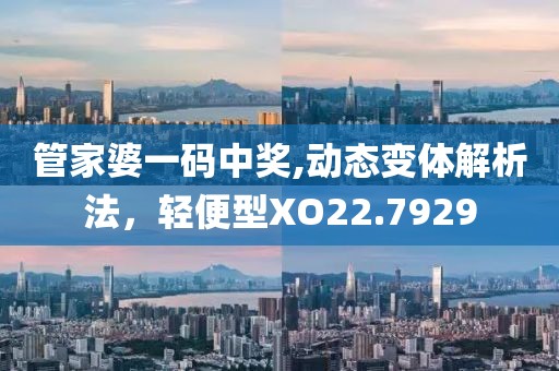 管家婆一码中奖,动态变体解析法，轻便型XO22.7929
