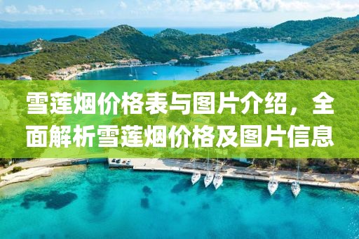 雪莲烟价格表与图片介绍，全面解析雪莲烟价格及图片信息
