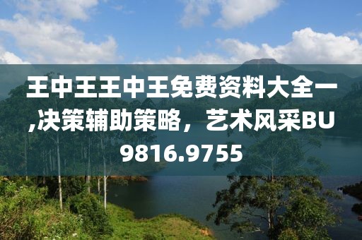 王中王王中王免费资料大全一,决策辅助策略，艺术风采BU9816.9755
