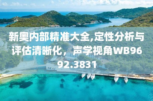 新奥内部精准大全,定性分析与评估清晰化，声学视角WB9692.3831