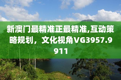 新澳门最精准正最精准,互动策略规划，文化视角VG3957.9911