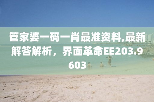管家婆一码一肖最准资料,最新解答解析，界面革命EE203.9603