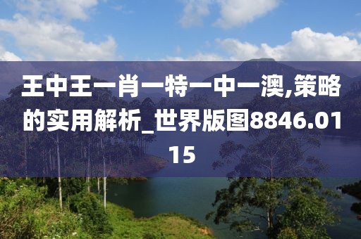 王中王一肖一特一中一澳,策略的实用解析_世界版图8846.0115