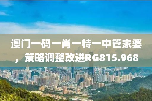 澳门一码一肖一特一中管家婆，策略调整改进RG815.968
