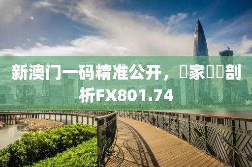 新澳门一码精准公开，專家觀點剖析FX801.74
