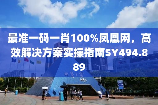 最准一码一肖100%凤凰网，高效解决方案实操指南SY494.889