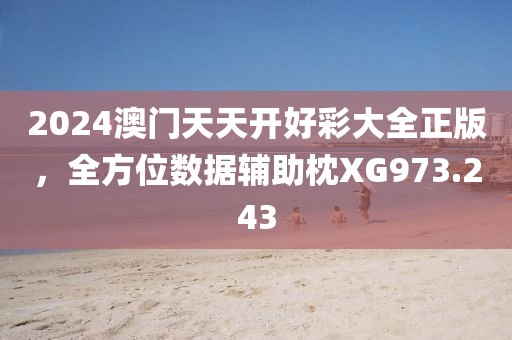 2024澳门天天开好彩大全正版，全方位数据辅助枕XG973.243