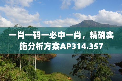 一肖一码一必中一肖，精确实施分析方案AP314.357