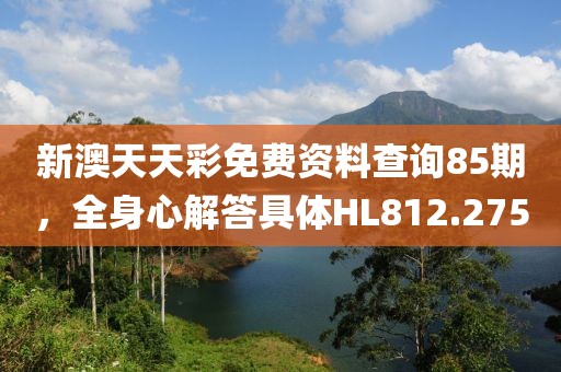 新澳天天彩免费资料查询85期，全身心解答具体HL812.275