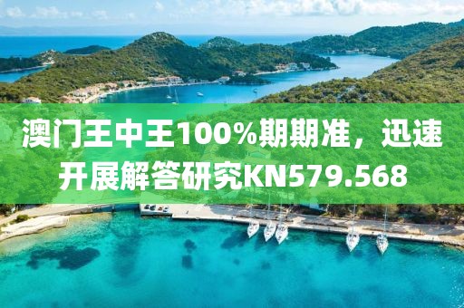 澳门王中王100%期期准，迅速开展解答研究KN579.568