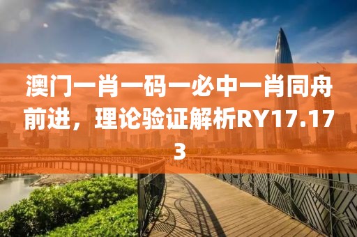 澳门一肖一码一必中一肖同舟前进，理论验证解析RY17.173