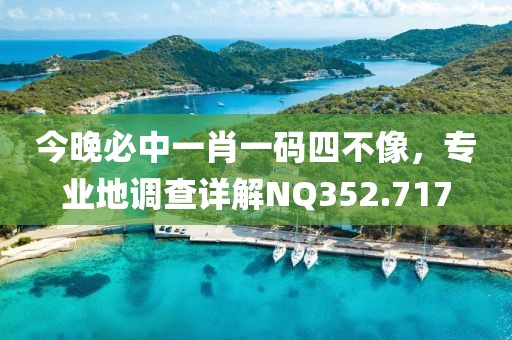 今晚必中一肖一码四不像，专业地调查详解NQ352.717
