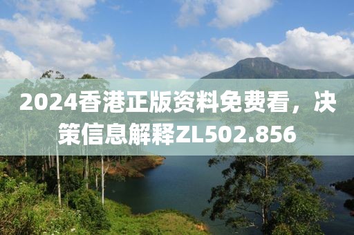 2024香港正版资料免费看，决策信息解释ZL502.856