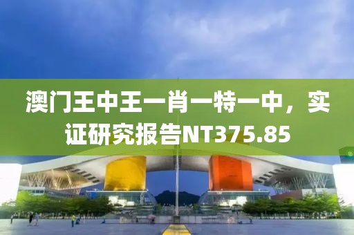 澳门王中王一肖一特一中，实证研究报告NT375.85