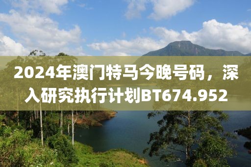 2024年澳门特马今晚号码，深入研究执行计划BT674.952