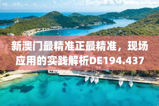 新澳门最精准正最精准，现场应用的实践解析DE194.437