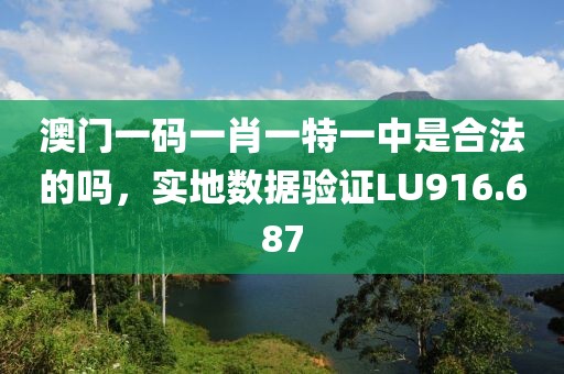 澳门一码一肖一特一中是合法的吗，实地数据验证LU916.687