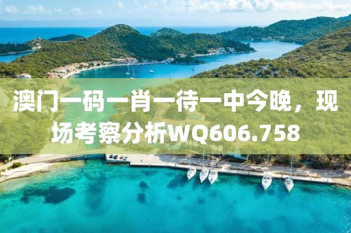 澳门一码一肖一待一中今晚，现场考察分析WQ606.758