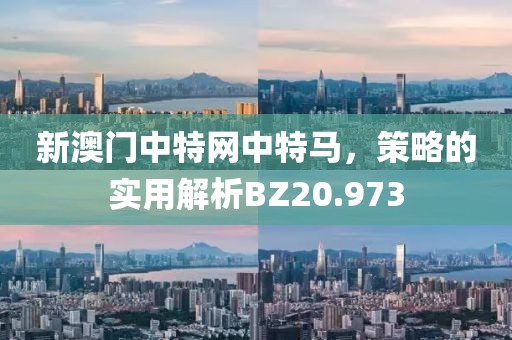 新澳门中特网中特马，策略的实用解析BZ20.973