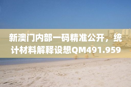 新澳门内部一码精准公开，统计材料解释设想QM491.959