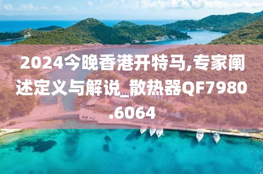 2024今晚香港开特马,专家阐述定义与解说_散热器QF7980.6064