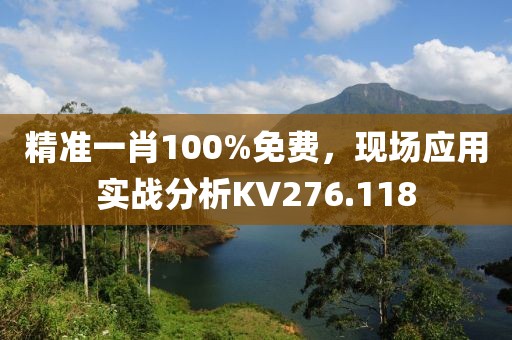 精准一肖100%免费，现场应用实战分析KV276.118
