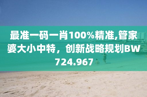 最准一码一肖100%精准,管家婆大小中特，创新战略规划BW724.967
