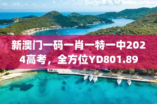 新澳门一码一肖一特一中2024高考，全方位YD801.89