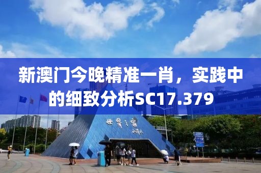 新澳门今晚精准一肖，实践中的细致分析SC17.379