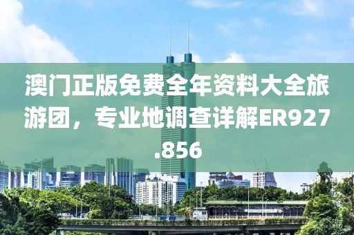 澳门正版免费全年资料大全旅游团，专业地调查详解ER927.856