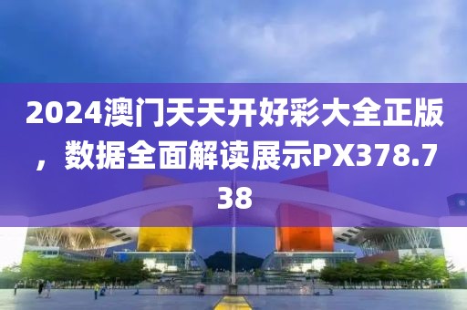 2024澳门天天开好彩大全正版，数据全面解读展示PX378.738