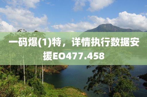 一码爆(1)特，详情执行数据安援EO477.458