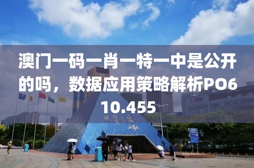 澳门一码一肖一特一中是公开的吗，数据应用策略解析PO610.455