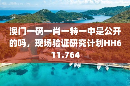 澳门一码一肖一特一中是公开的吗，现场验证研究计划HH611.764