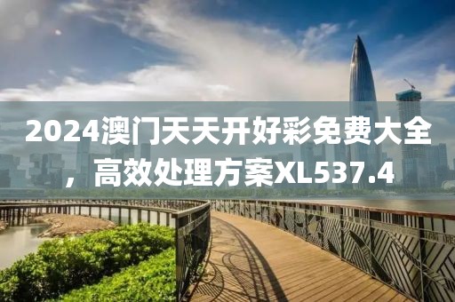 2024澳门天天开好彩免费大全，高效处理方案XL537.4