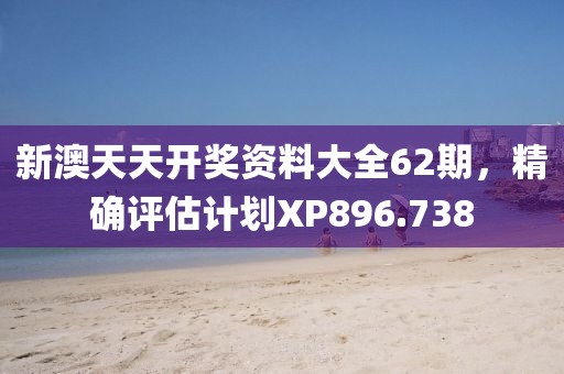 新澳天天开奖资料大全62期，精确评估计划XP896.738