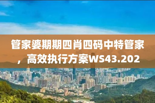 管家婆期期四肖四码中特管家，高效执行方案WS43.202