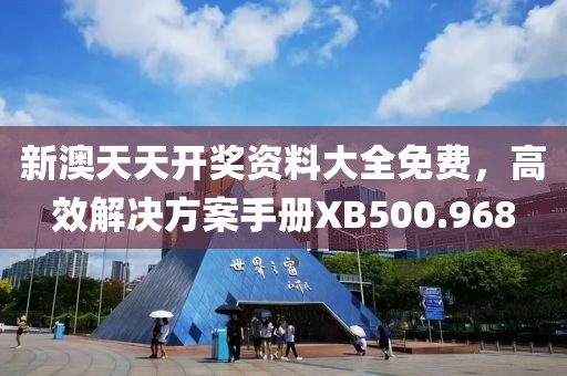新澳天天开奖资料大全免费，高效解决方案手册XB500.968
