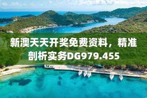新澳天天开奖免费资料，精准剖析实务DG979.455