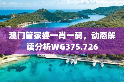 澳门管家婆一肖一码，动态解读分析WG375.726