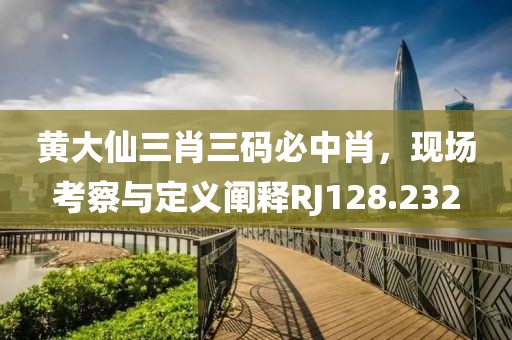 黄大仙三肖三码必中肖，现场考察与定义阐释RJ128.232