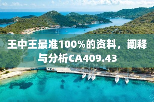 王中王最准100%的资料，阐释与分析CA409.43